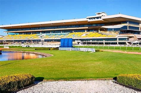 rose hill race results|Rosehill Racecourse Details, Information & Facilities .